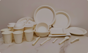 Why Ecosource's Compostable Food Containers Are a Game Changer